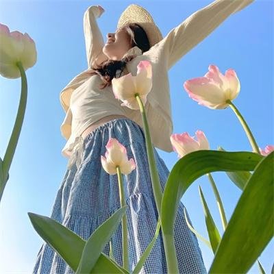 上天入海擒金匪