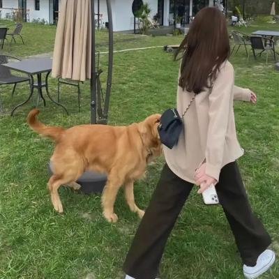 飞来子女