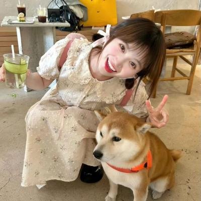 诺娃队长